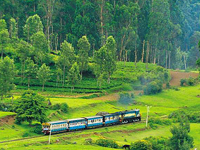 Ooty
